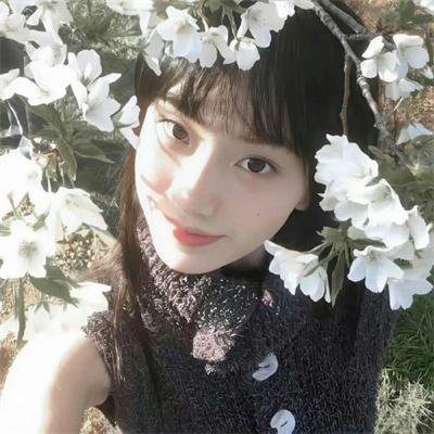 河马复仇记